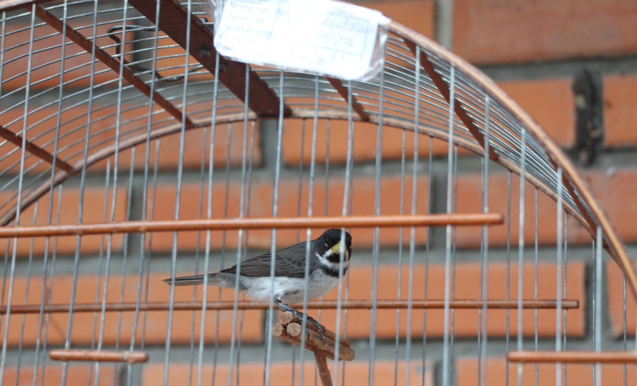 IAT Parque do Palmito