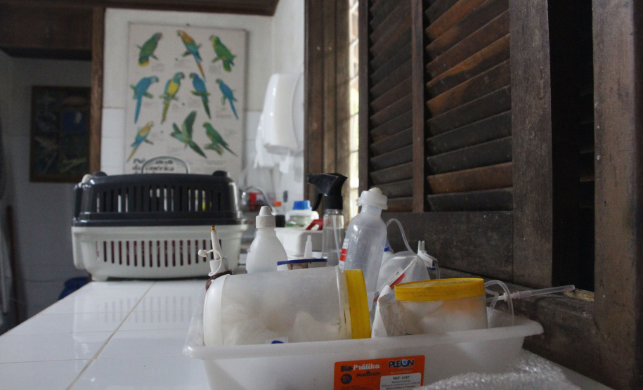 IAT Parque do Palmito