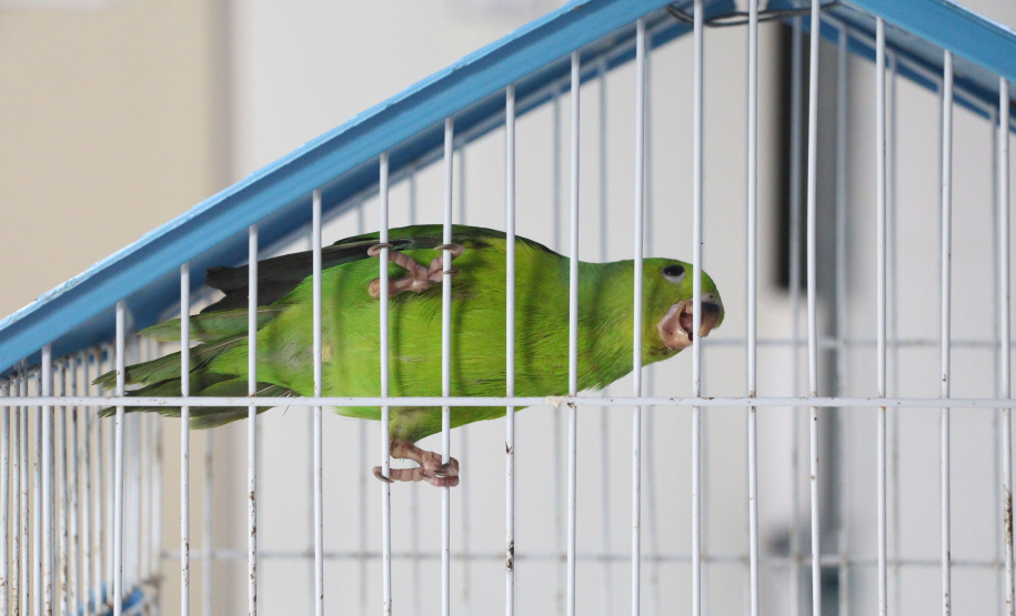 IAT Parque do Palmito