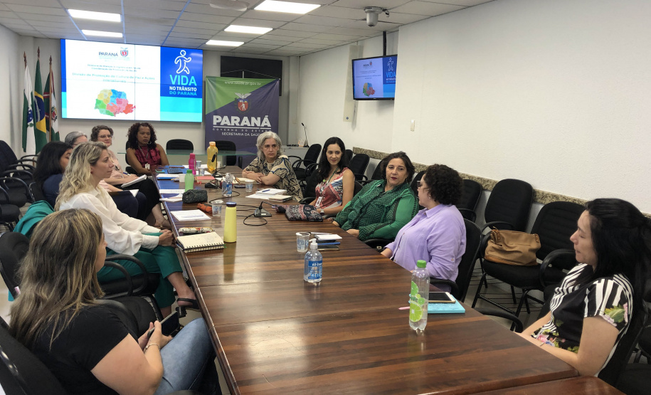 Representantes do MS reconhecem experiências exitosas do Programa Vida no Trânsito no Paraná