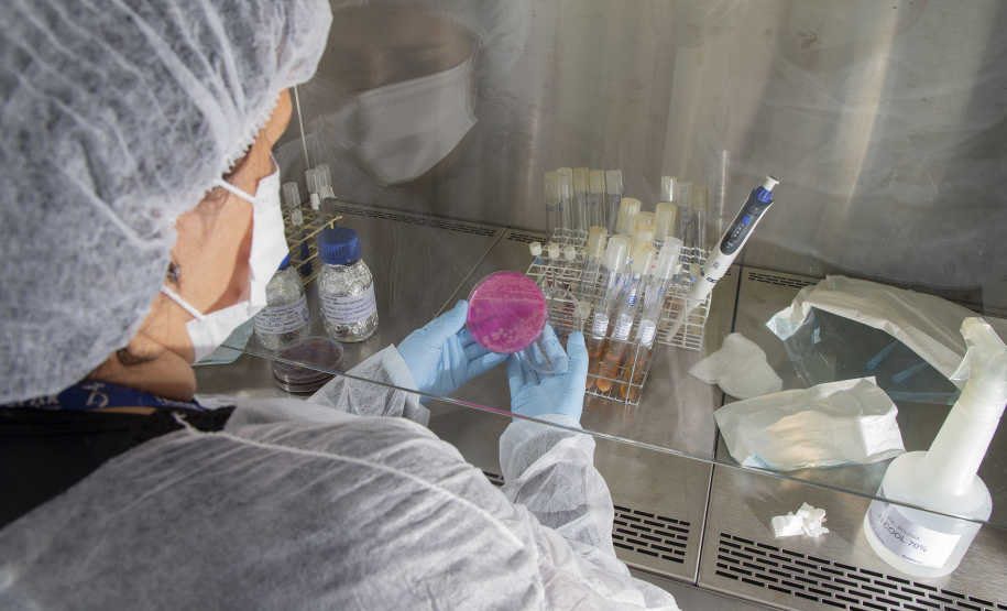 Tecpar e Fiep realizam evento sobre biotecnologia na saúde