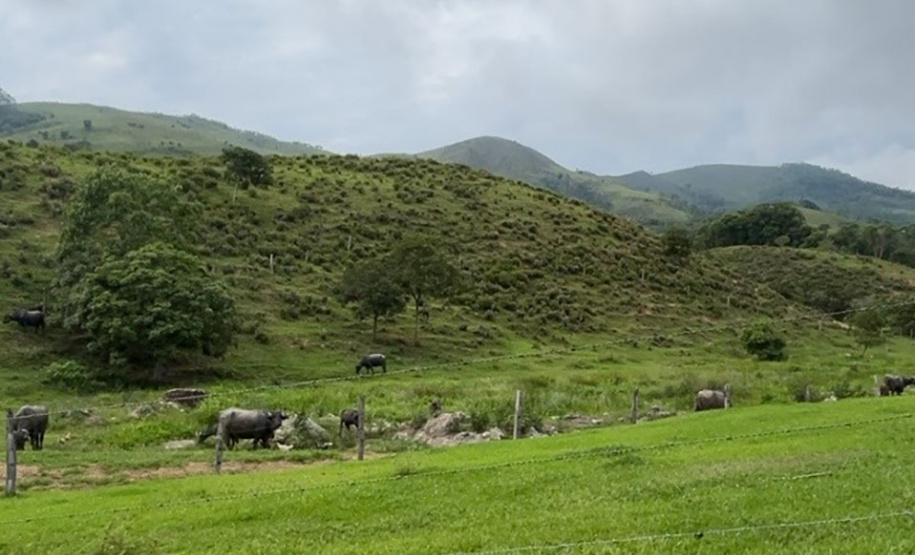 O Instituto Água e Terra (IAT) finalizou nesta sexta-feira (24) operação de fiscalização na região do Parque Estadual das Lauráceas, localizado em Adrianópolis e Tunas do Paraná.