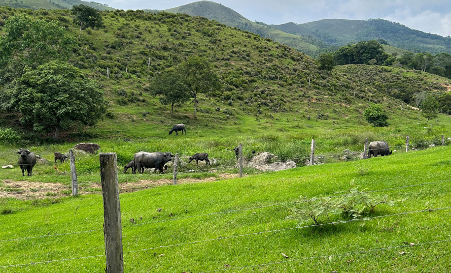 O Instituto Água e Terra (IAT) finalizou nesta sexta-feira (24) operação de fiscalização na região do Parque Estadual das Lauráceas, localizado em Adrianópolis e Tunas do Paraná.