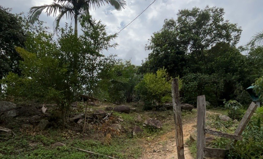 O Instituto Água e Terra (IAT) finalizou nesta sexta-feira (24) operação de fiscalização na região do Parque Estadual das Lauráceas, localizado em Adrianópolis e Tunas do Paraná.