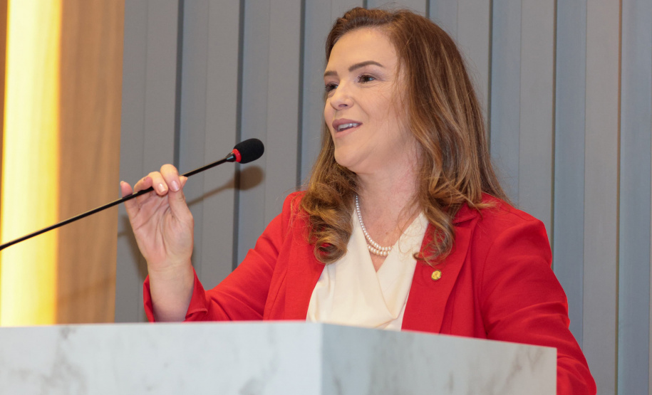 SEMIPI AÇÕES MULHERES