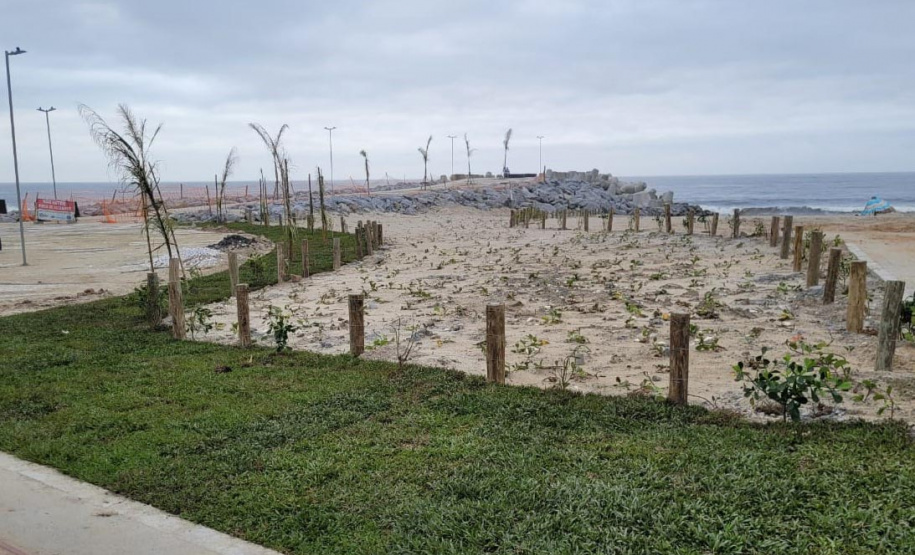 Nova orla: estruturas marítimas ajudam a melhorar a qualidade da água em Matinhos