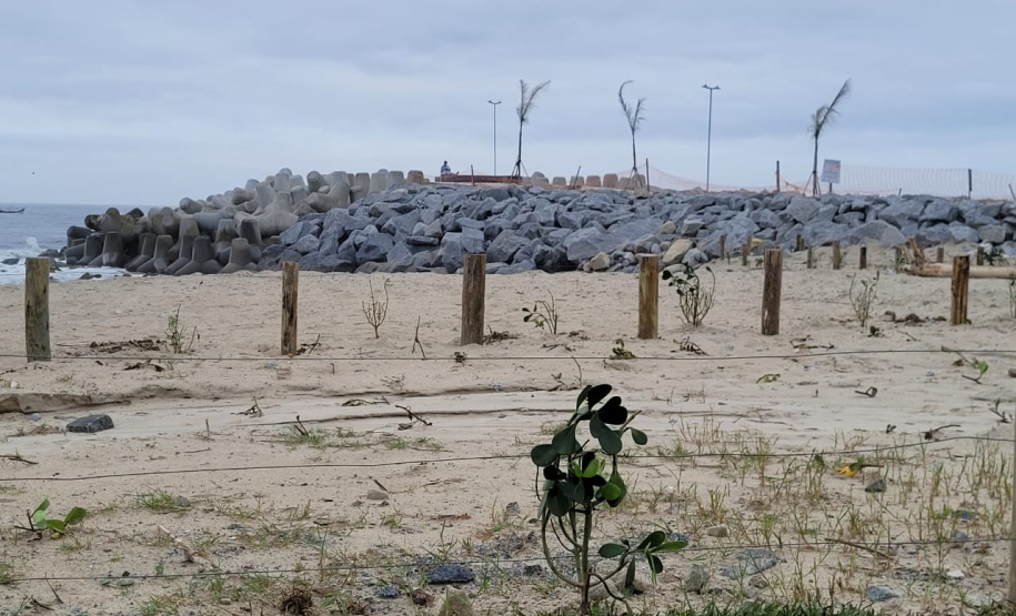 IAT ORLA DE MATINHOS