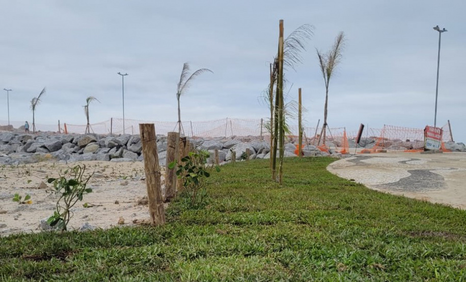 IAT ORLA DE MATINHOS