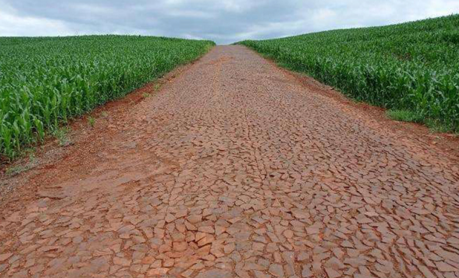 DER CAMPINA DA LAGOA