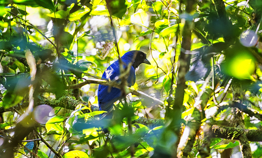 IAT UNIDADES DE CONSERVAÇÃO