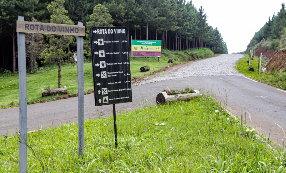 rota do vinho