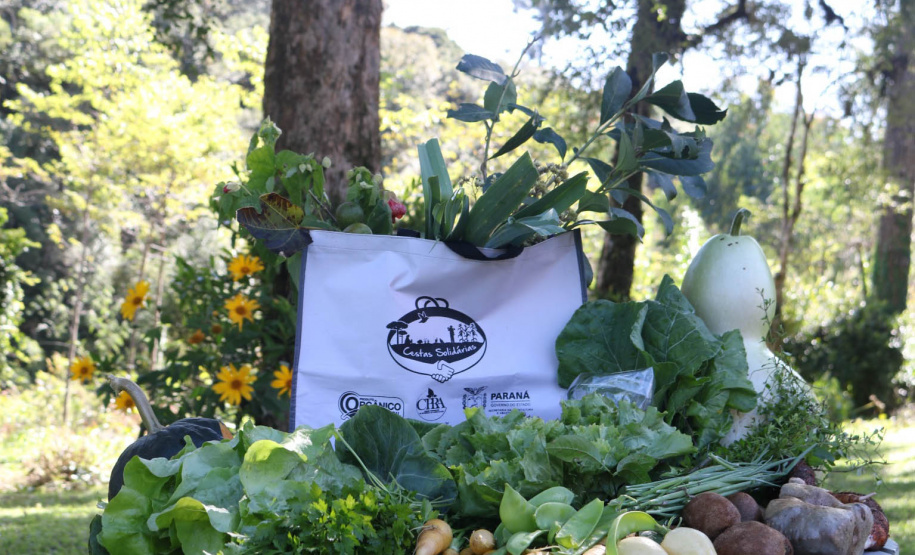 Cestas Solidárias: há 6 anos aproximando agricultores e consumidores
