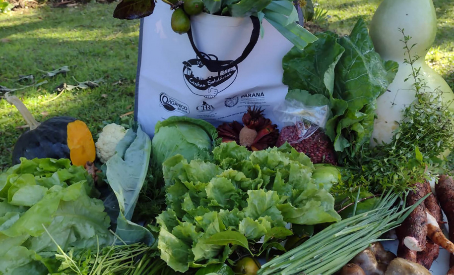 Cestas Solidárias: há 6 anos aproximando agricultores e consumidores