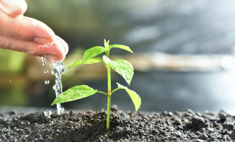 Adapar registra recorde no cadastro de produtos biológicos e similares