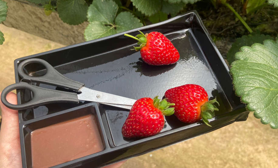 IDR TURISMO MIRINGUAVA