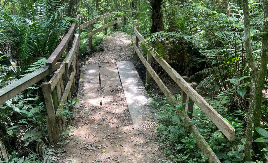 IDR TURISMO MIRINGUAVA