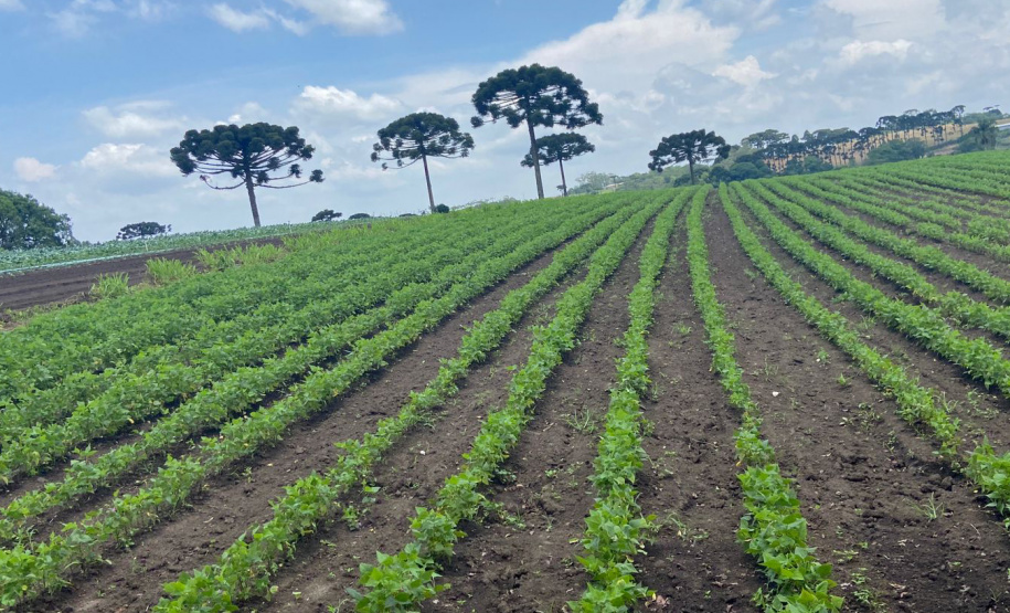 IDR TURISMO MIRINGUAVA