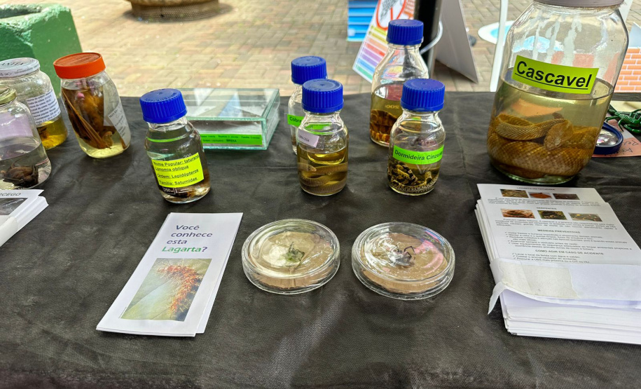 SESA AÇÕES NOVEMBRO AZUL