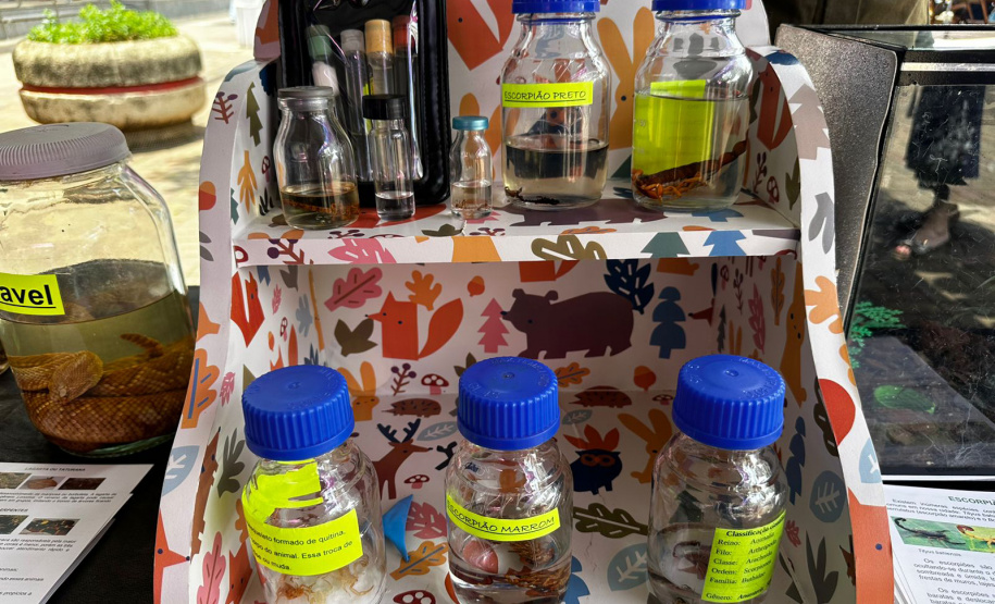 SESA AÇÕES NOVEMBRO AZUL