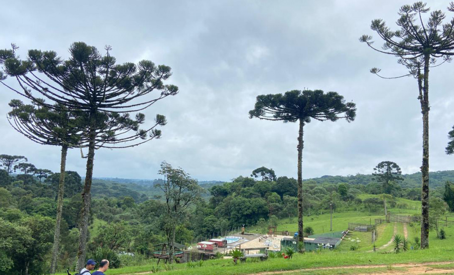 IDR TURISMO MIRINGUAVA