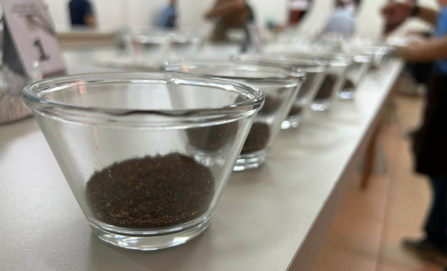 Evento em Mandaguari anuncia melhores cafés do Paraná