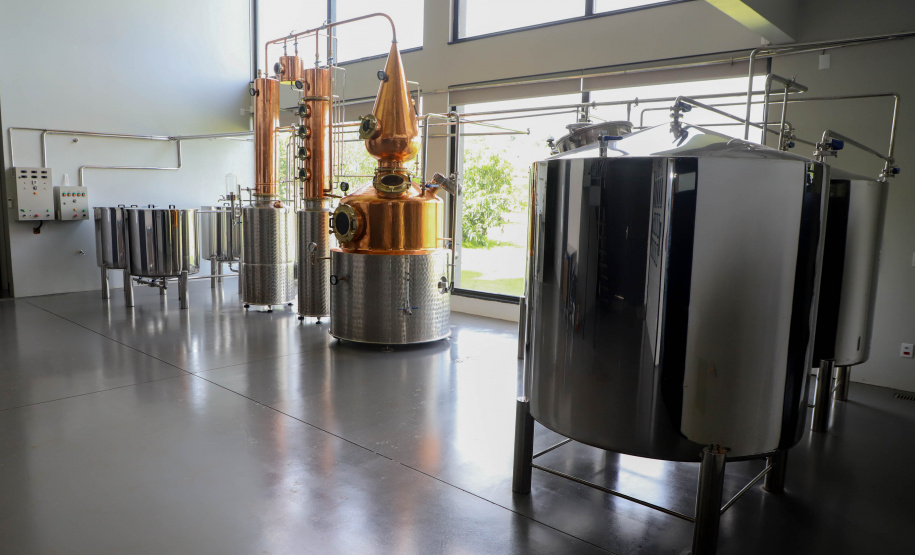 No Paraná, é possível brindar com bebidas de destaque internacional produzidas aqui mesmo.