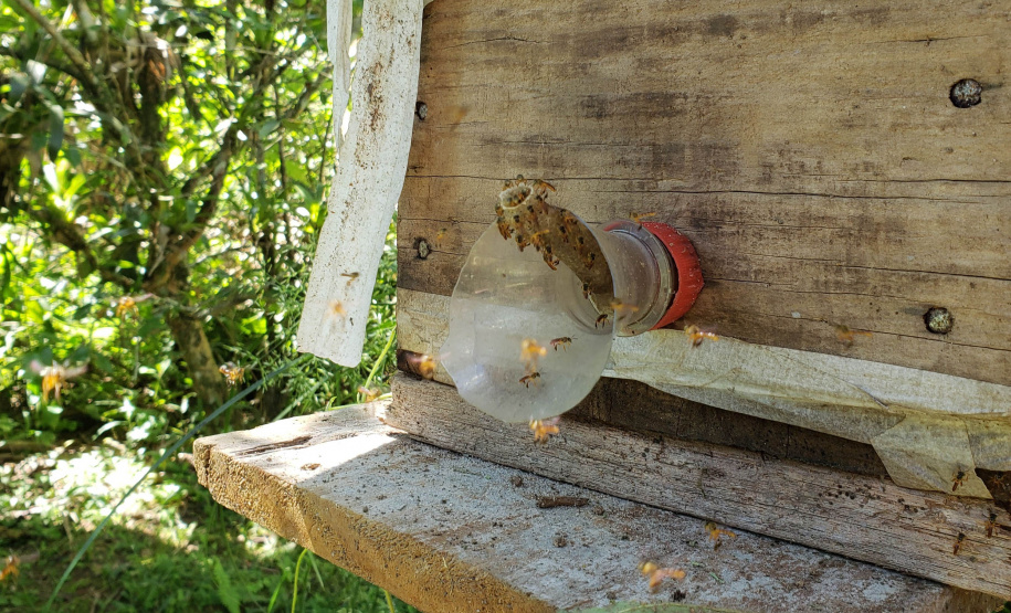 IDR PRODUÇÃO AGRÍCOLA