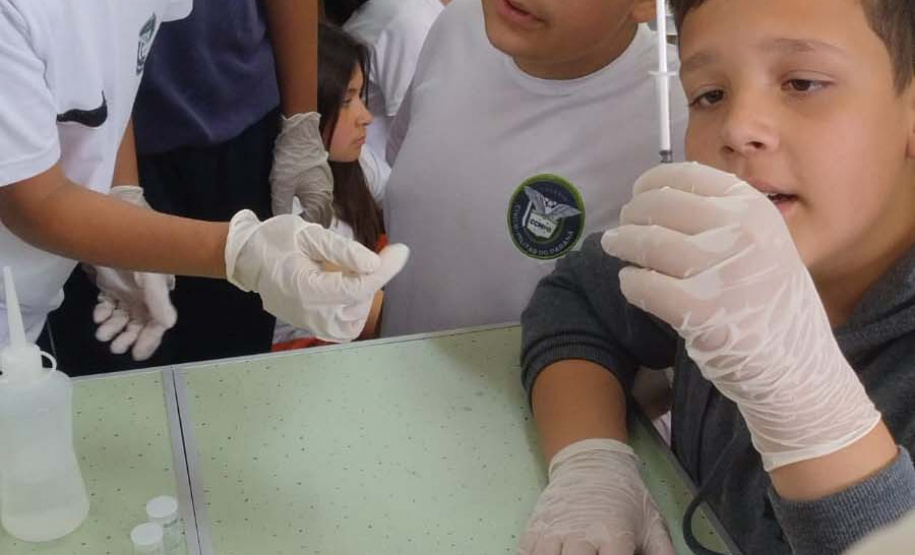 Sanepar realiza ações de sustentabilidade com estudantes em manancial de Bituruna