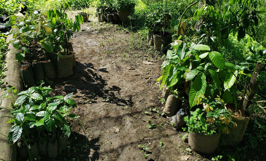 IDR PRODUÇÃO AGRÍCOLA