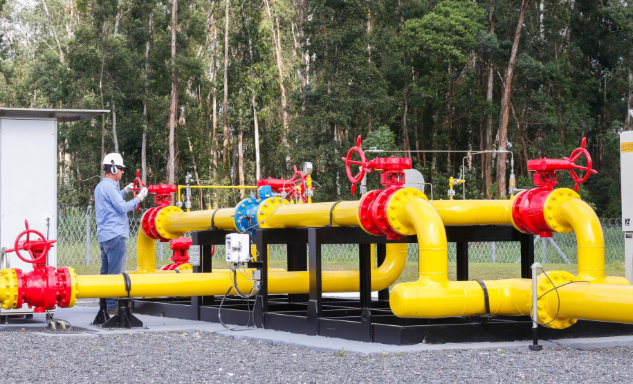 Com mais de 54 mil clientes, Compagas tem ano marcado pela sustentabilidade