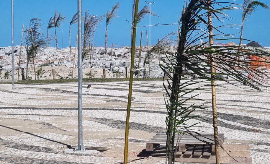 Manacá e o jerivás: nova orla de Matinhos ganha 3,6 mil árvores.