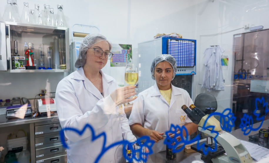 Entre as cervejarias paranaenses, o destaque em premiações é a Bodebrown, no bairro Hauer, em Curitiba, que já conquistou cerca 170 prêmios.