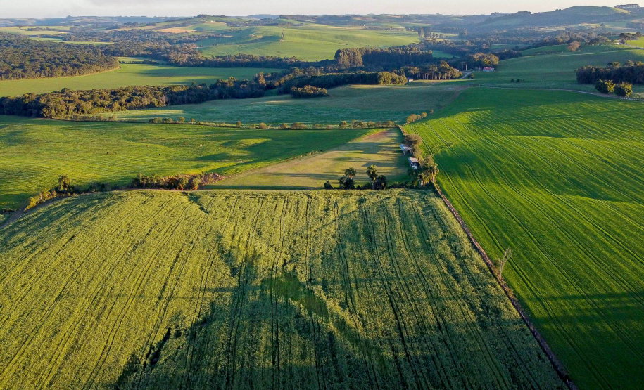 IDR-Paraná lança Nota Técnica alertando para cuidados com o solo e a água