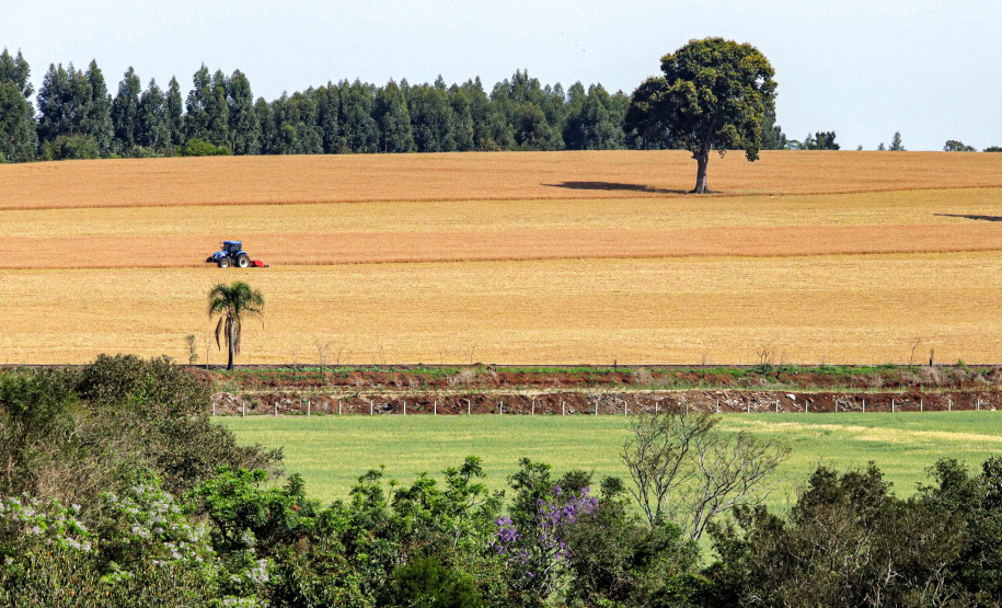 IDR-Paraná lança Nota Técnica alertando para cuidados com o solo e a água