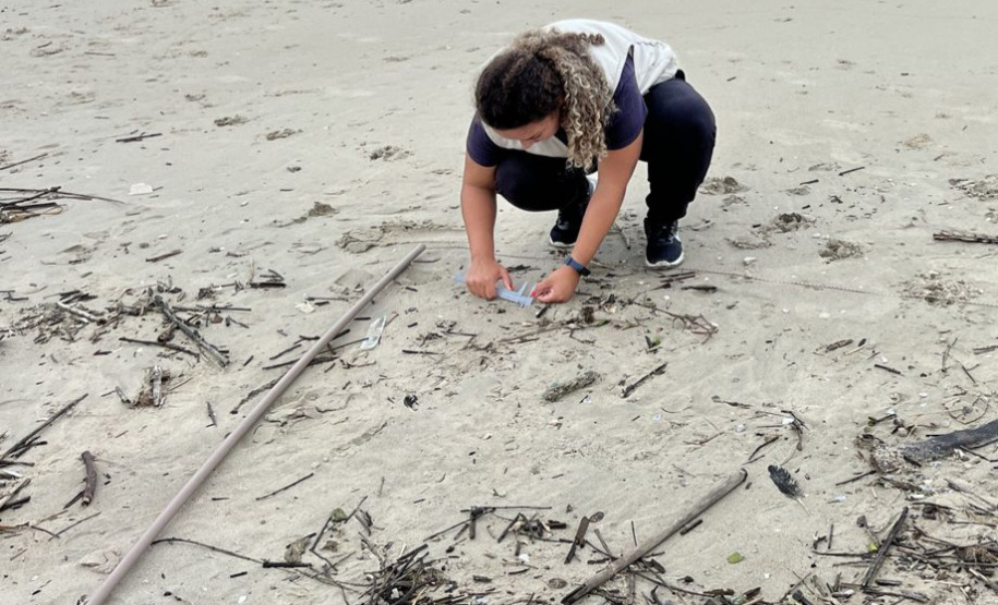 Revitalização da orla permitiu o retorno da fauna a Matinhos, com destaque para a coruja-buraqueira e o caranguejo maria-farinha.