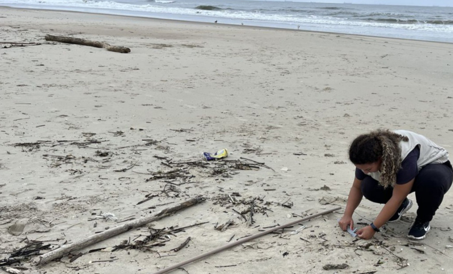Revitalização da orla permitiu o retorno da fauna a Matinhos, com destaque para a coruja-buraqueira e o caranguejo maria-farinha.