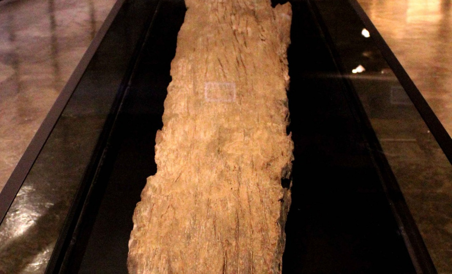 Casa Gomm abre exposição sobre canoa ancestral encontrada em sítio arqueológico