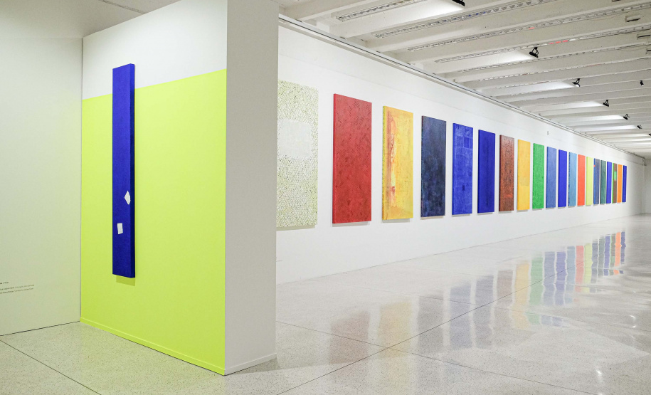 Recorde de público, exposição internacional e "obras fora de casa" marcam 2023 do MON