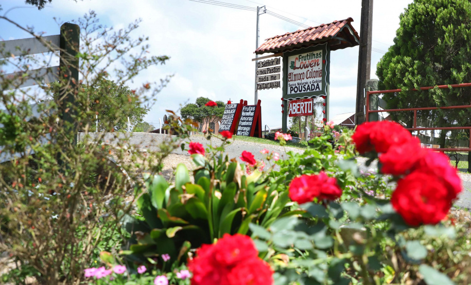 Pesquisa aponta consolidação de novas empresas turísticas no Paraná nos últimos anos