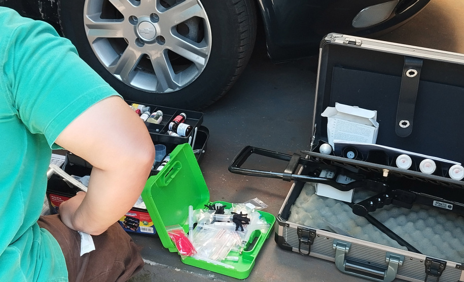 Após uma bateria de exames, a onça-parda foi devolvida ao seu habitat natural.