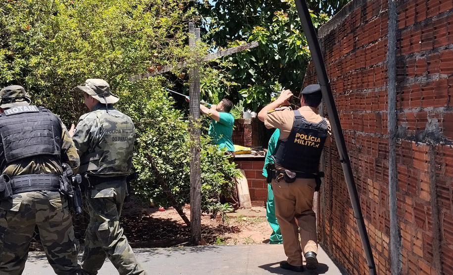 Após uma bateria de exames, a onça-parda foi devolvida ao seu habitat natural.