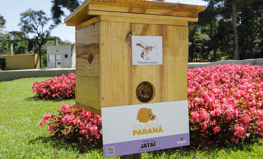 Paraná avança em programas de ação climática e se consolida como o estado mais sustentável do País