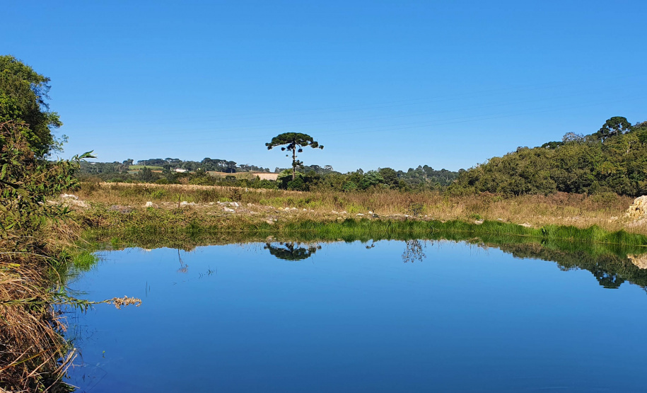 IDR-Paraná lança Nota Técnica alertando para cuidados com o solo e a água