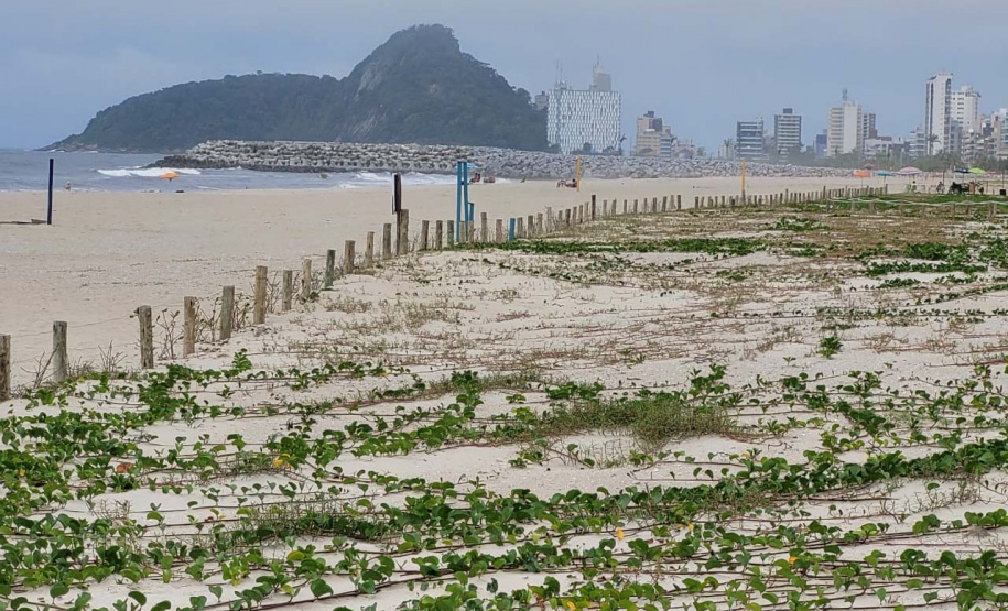 Revitalização da Orla de Matinhos alcançou 89% em novembro. Algumas estruturas marítimas foram finalizadas.