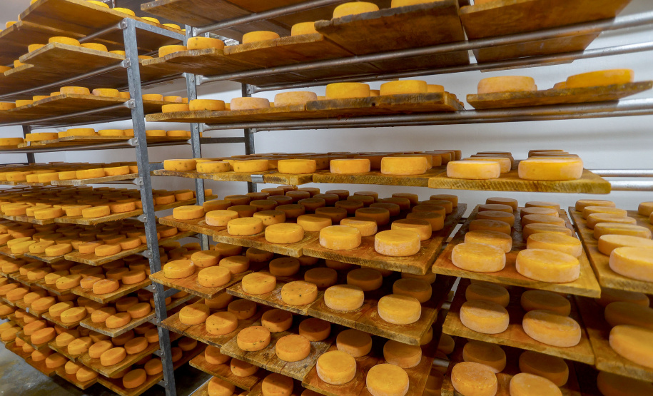 95 municípios já aderiram ao Susaf/PR para ampliar mercado de agroindústrias