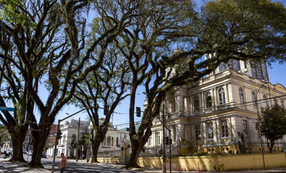 Espaços culturais do Paraná terminam o ano com recorde de público e exposições marcantes
