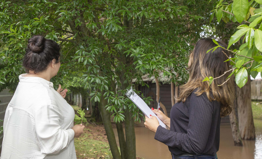 Tecpar já valida inventários de carbono em duas regiões do País