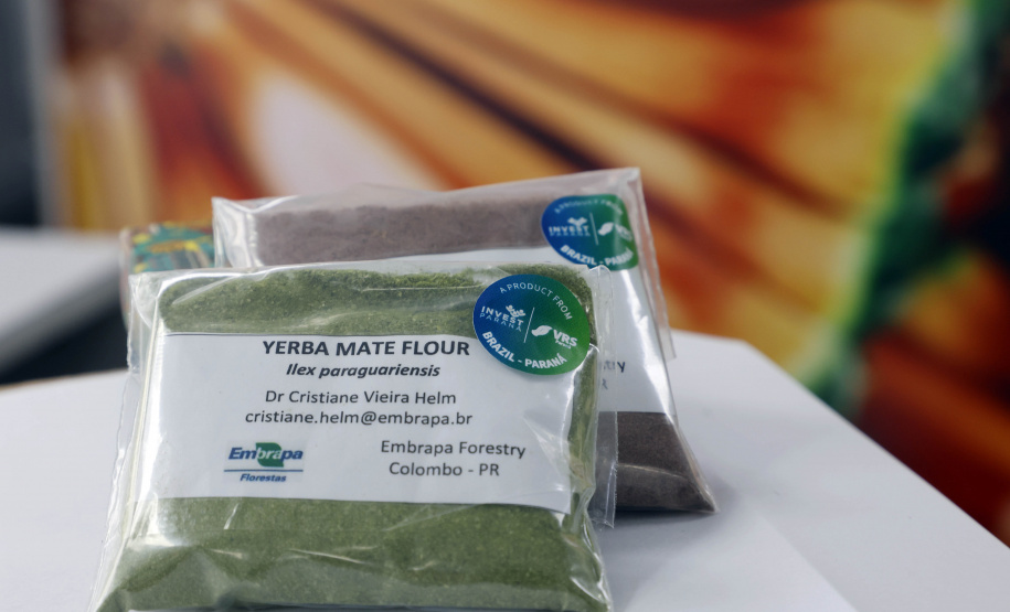 VOCAÇÕES REGIONAIS