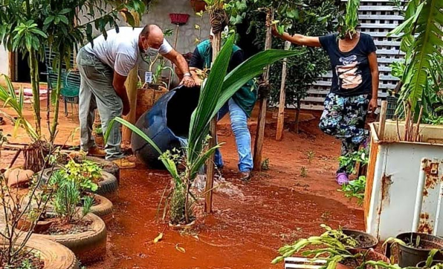 Paraná aposta na capacitação, informação e monitoramento no controle das arboviroses