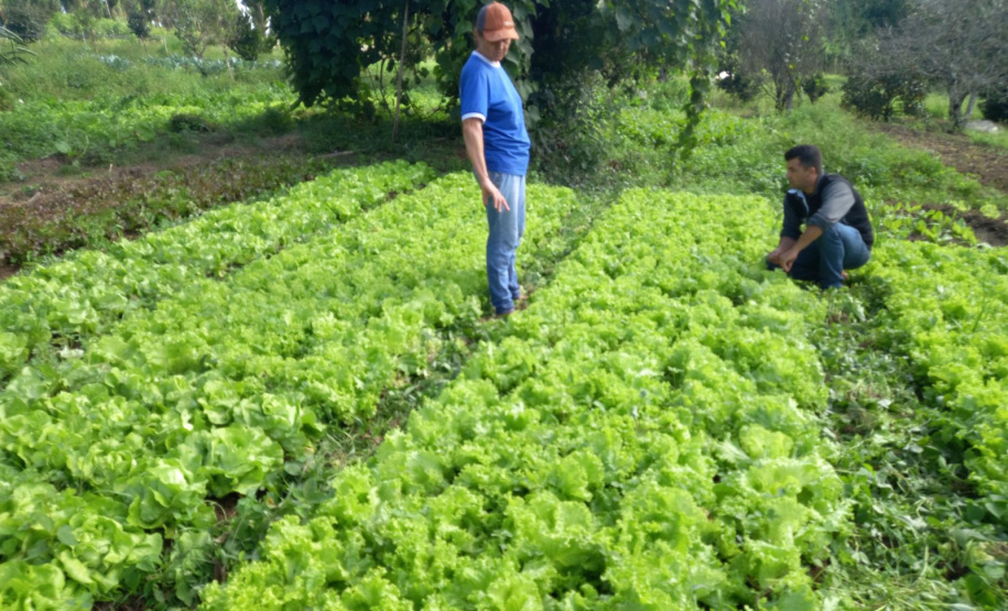 IDR DIA DO EXTENSIONISTA RURAL